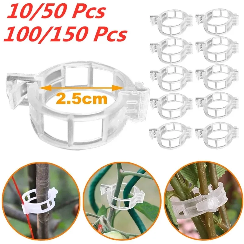 

10/100pcs Plastic Plant Clips Supports Connects Reusable Protection Grafting Fixing Tool Gardening Supplies for Vegetable Tomato