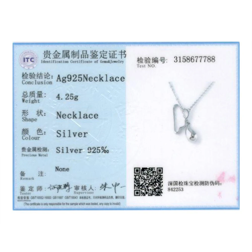 

SILVERHOO 925 Sterling Silver Cute Clouds Water Drop Long Chain Double Pendant Necklaces For Women Silver Fine Jewelry Necklace