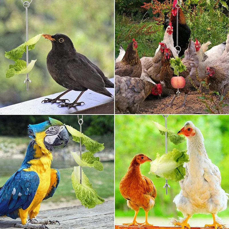 

3PCS Stainless Steel Hanging Feeder Chain Toy Veggies Skewer Fruit Vegetable Holder with Chain for Hens Pet Chicken