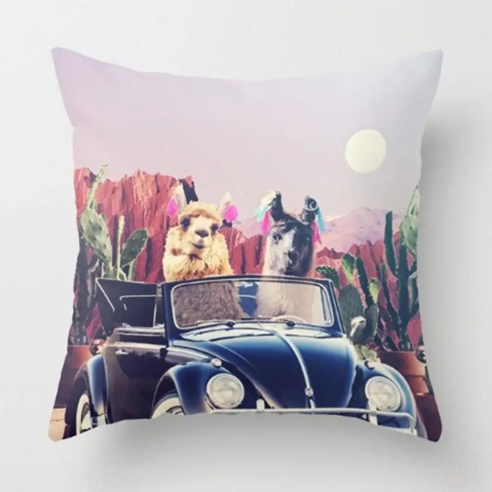

NewPillowcase