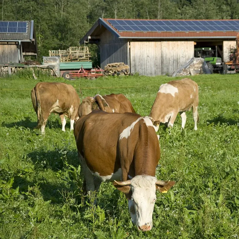 Солнечная панель 18 в 500 Вт 250 Высокоэффективная солнечная система комплекте для
