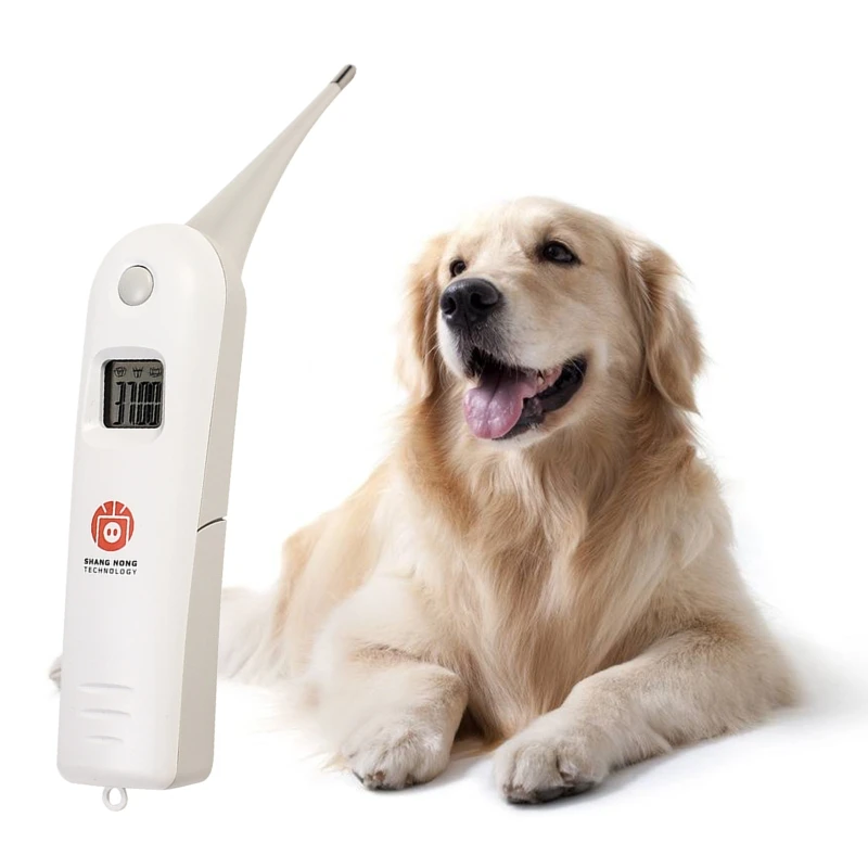 

Animal Electronic Thermometer Pet Digital Thermometer Fast Rectal Thermometer for Dogs Pig Horse