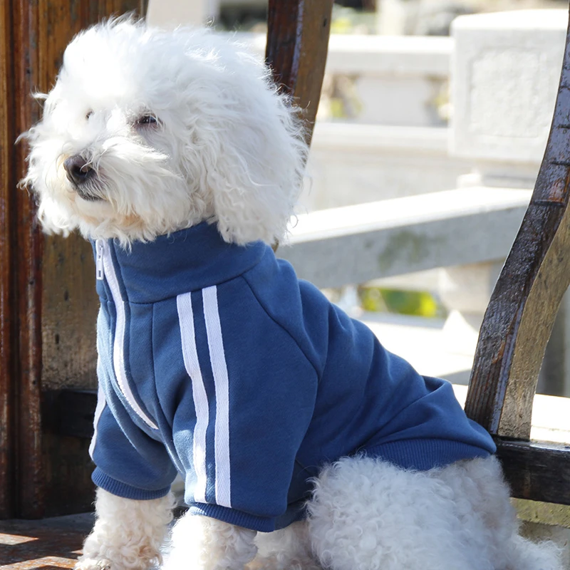 

Dog Clothes Preppy Style with Sleeve Pet Dog Clothing for Small Dog Medium Dogs Lovely Spring Jacket Clothing Summer 2021 Pets