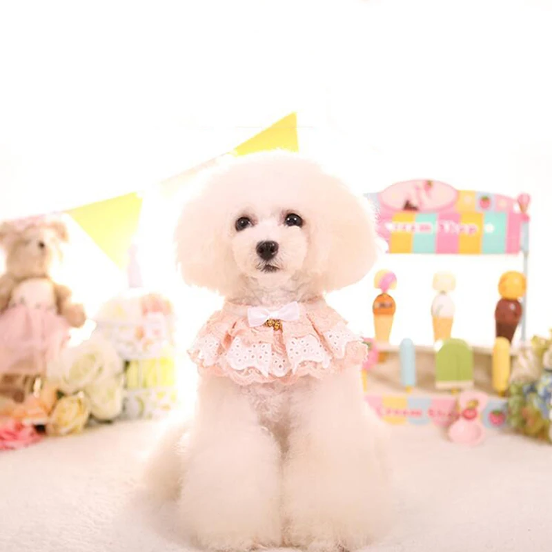 Ошейник для питомца кошки собаки кружевной нагрудник с шарфом милое платье