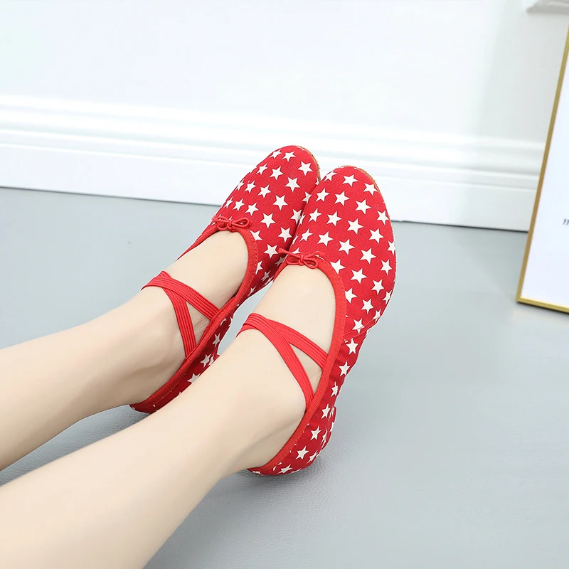 Бегемотические туфли для латинских танцев женщины девушки дамы практики учителя