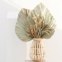 1pc natural dried flower palm leaf fan plant palm dried tree leaves home garden wedding party living bedroom table decoration