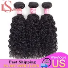 LS волосы перуанские прямые волосы кудрявые вьющиеся 34 пучки с фронтальной шнуровкой 13*4 предварительно выщипывающиеся волосы пучки сделки для наращивания 8-26 дюймов