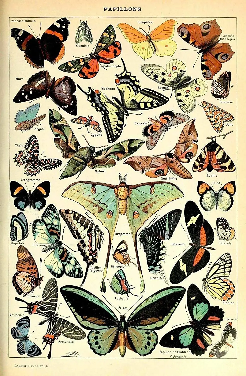 

Vintage Victorian Butterfly Art Metal Tin Sign 12x8 Inch Decor