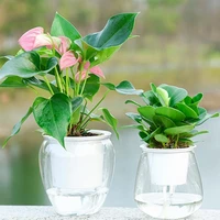 40hotflowerpot self watering practical plastic transparent plant pot for home