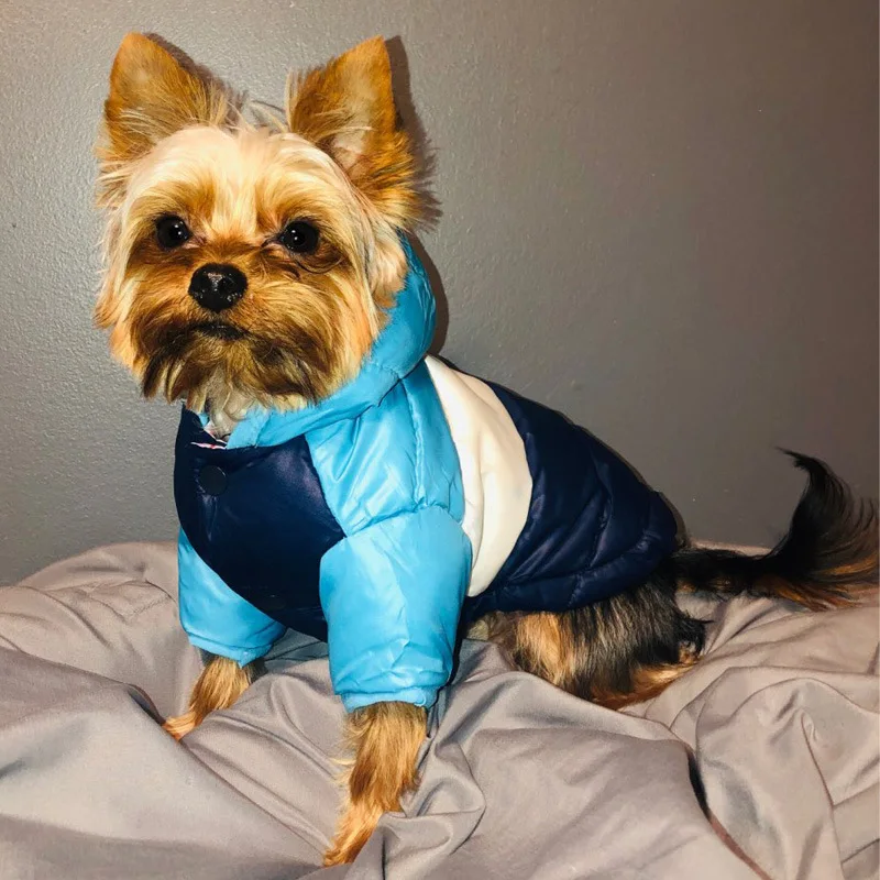 

New Winter Pet Dog Clothes Warm Down Jacket Waterproof Coat Hoodies For French Chihuahua Bulldog Small Dogs Pets Clothing Puppy