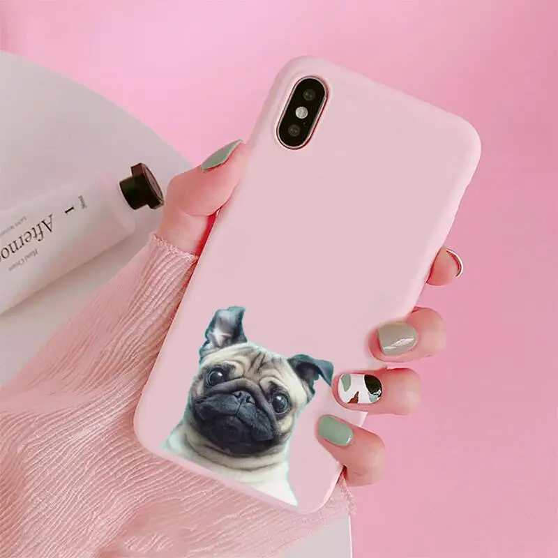 

Cute cartoon Pug Dog French Bulldog Phone Case Candy Color for iPhone 6 7 8 11 12 s mini pro X XS XR MAX Plus