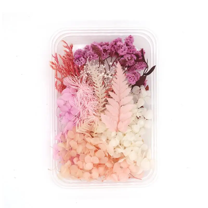 

Dried flowers, immortal flowers, DIY pressed flower materials, hand-embossed without shipping 5.6