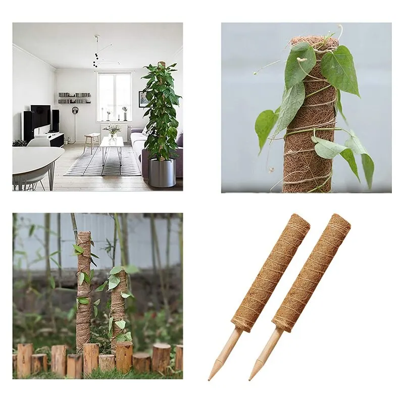 12PC/set Plant Climbing Pole Coir Moss Stick Palm Vines Support Extension Indoor Plants Creepers | Дом и сад