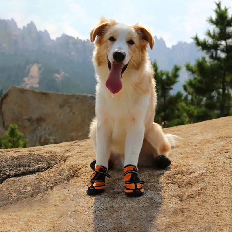 

New New Pet Waterproof Rain Shoes for Small Medium Large Dogs Multi Colors Optional Dog Rain Boots