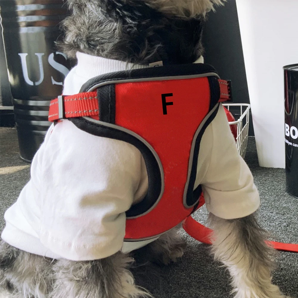 Шнауцер набор поводков модная печать поводок для чихуахуа LC0178 | Дом и сад