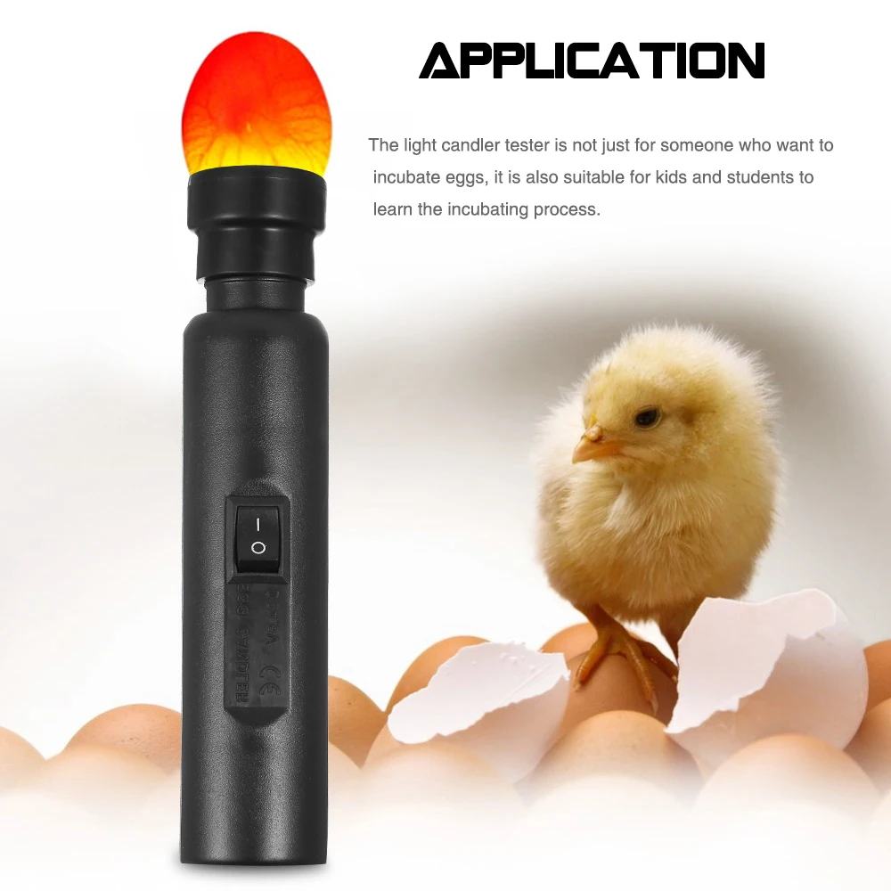 Egg Candler Tester Bright Cool LED Light Egg Candler Tester Warehouse Exclusive for Chicken Quail Poultry Incubator Brooder