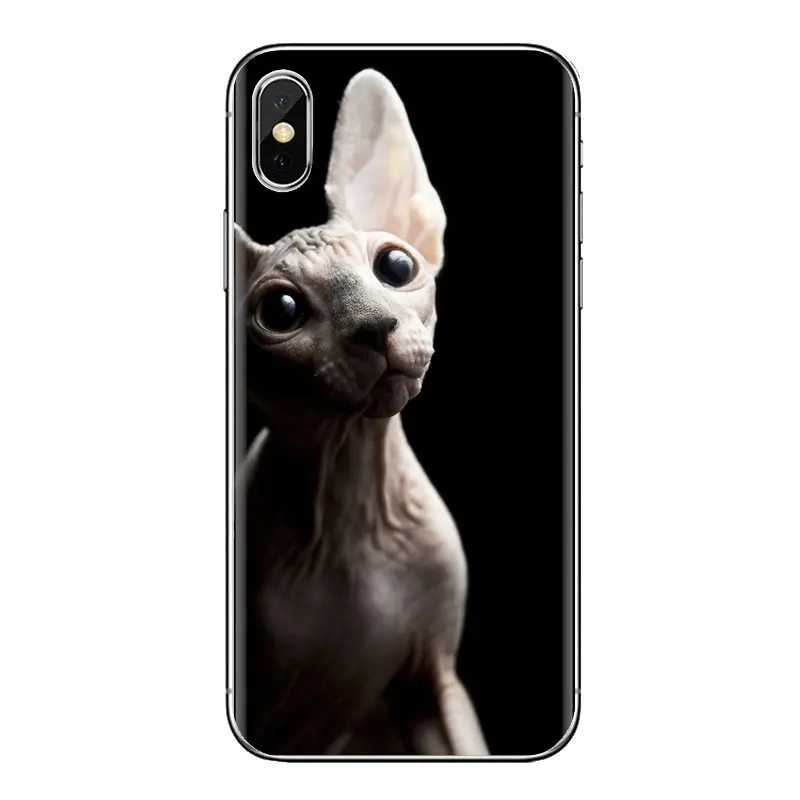 Кошка Сфинкс kitty для iPhone XS Max XR X 4 4S 5 5S 5C SE 6 6S 7 8 плюс samsung Galaxy J1 J3 J5 J7 A3 A5 прозрачный