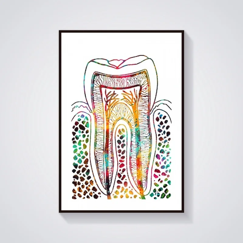 Скелет череп тело позвоночник зубы грудные конструкция анатомия медицинский и
