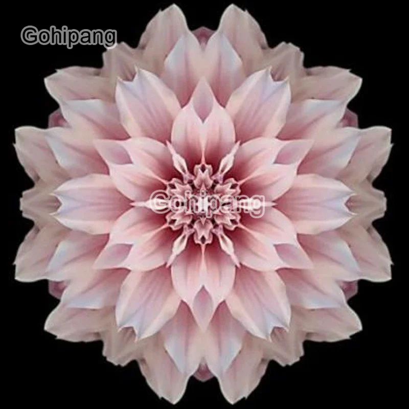 

Diy Diamond Decoration Bright Flowers Mandala Lily Rose Sun Flowers Square or Round Diamond Embroidered Home Rooms Wall Decorati