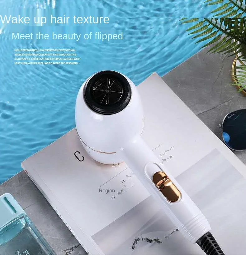 

Intelligent portable hair dryer with beautiful and constant temperature for hotel and family