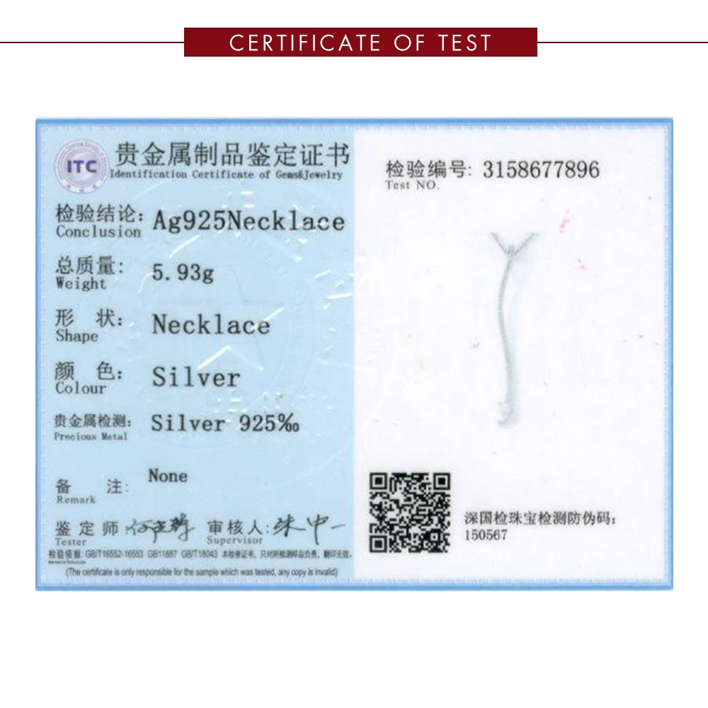 

SILVERHOO Women 925 Sterling Silver Necklace Fully Inlay Zircon Line Shape Drop Necklace Trendy Arrowlike Long Fine Jewelry