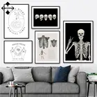 Каркас, живопись на холсте, анатомия, медицинский настенный плакат, Череп, художественные плакаты и принты, абстрактная картина для декора гостиной