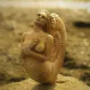 Изображение товара 1