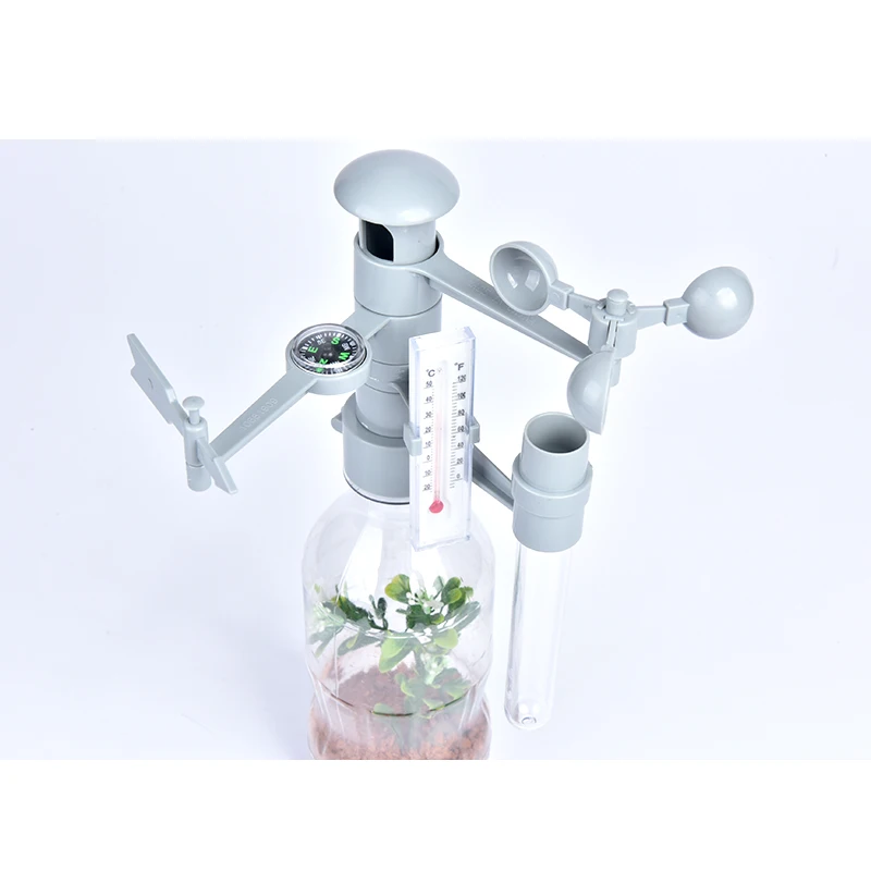 2019 ограничено по времени зеленая метеостанция научное растение биология природа