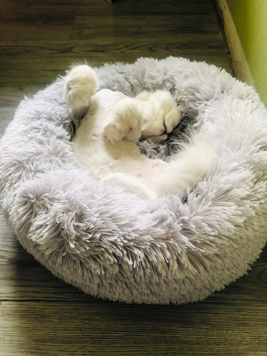 Мягкая теплая круглая кровать для домашних животных удобное гнездо Моющийся