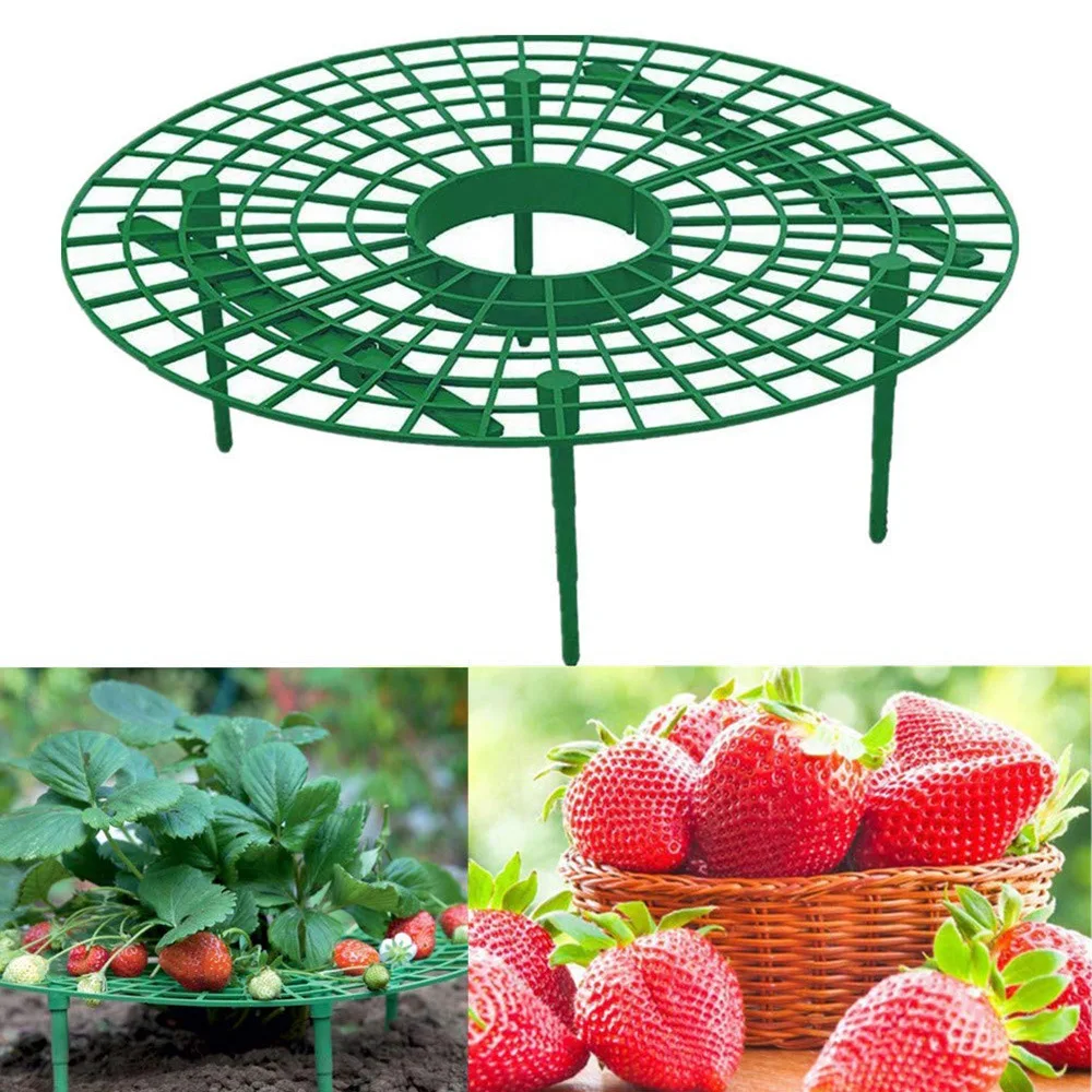 

1/2/4/8pcs Round Plastic Strawberry Stand Balcony Grow Vegetables Fruit Climbing Pillar Gardening Bracket Plant Cages & Supports