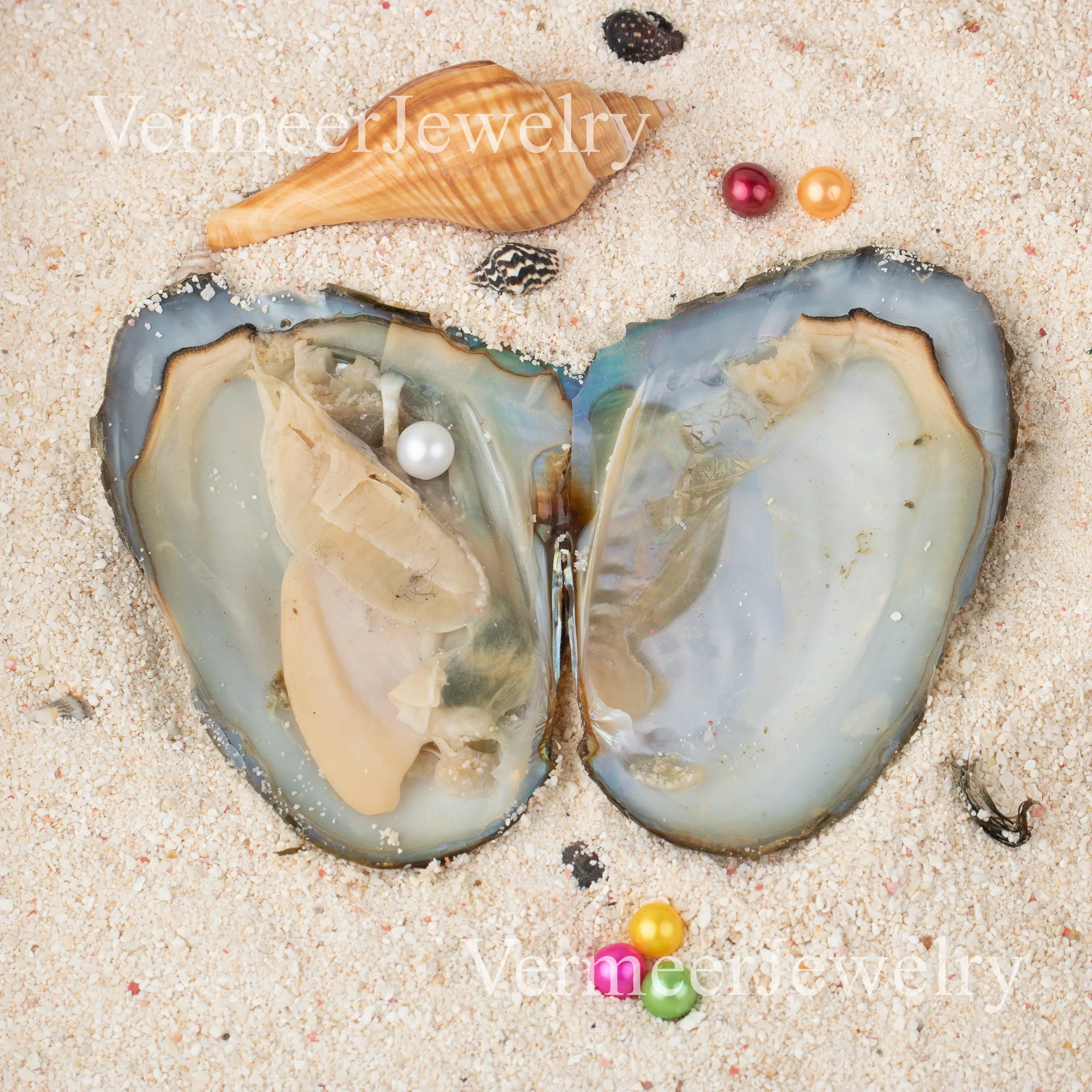 

100pcs freshwater oyster with 6-7 aaaa pearls coloured pearl for pearl party single pearl in oyster free shipping DHL