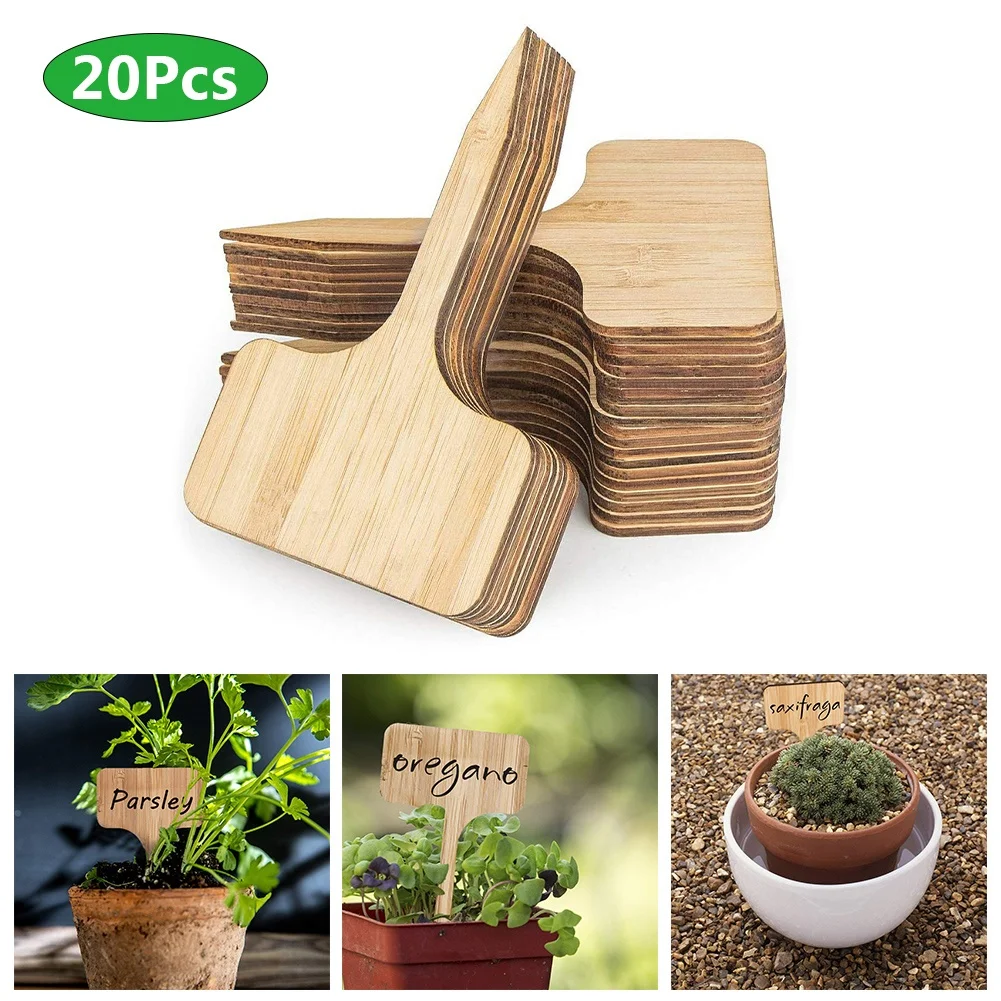 

20Pcs Succulent Bamboo Plant Flower Succulents Labels Tags Garden Nursery Pots Markers