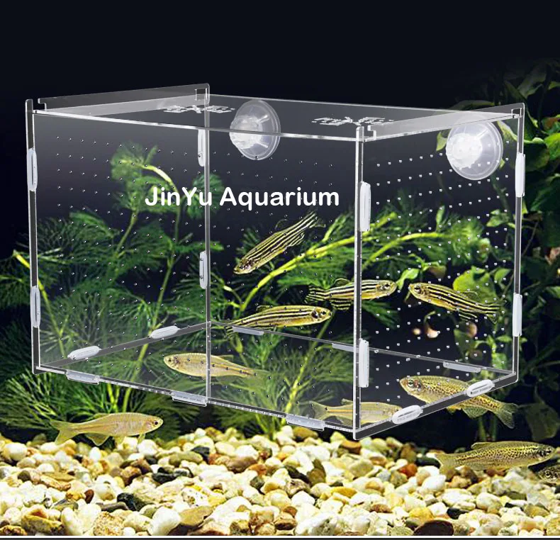 Aquarium fish hatch box guppy baby sick separate hatchery isolate protect separately arcylic aquarium tank | Дом и сад