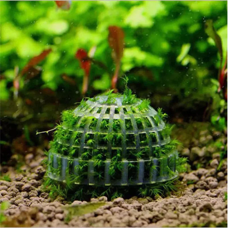 Аквариум мох Marimo шар живые растения фильтр для Java креветок аквариум|Подставки