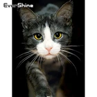 Evershine кошки алмазная вышивка вышивка крестиком наклейки на стену алмазная мозаика животные картина стразы украшения для дома