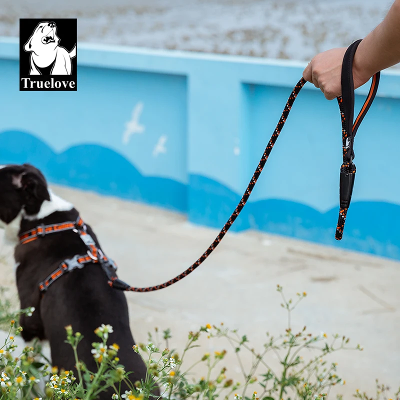 Аксессуары для собак поводок аксессуары домашних животных | Дом и сад