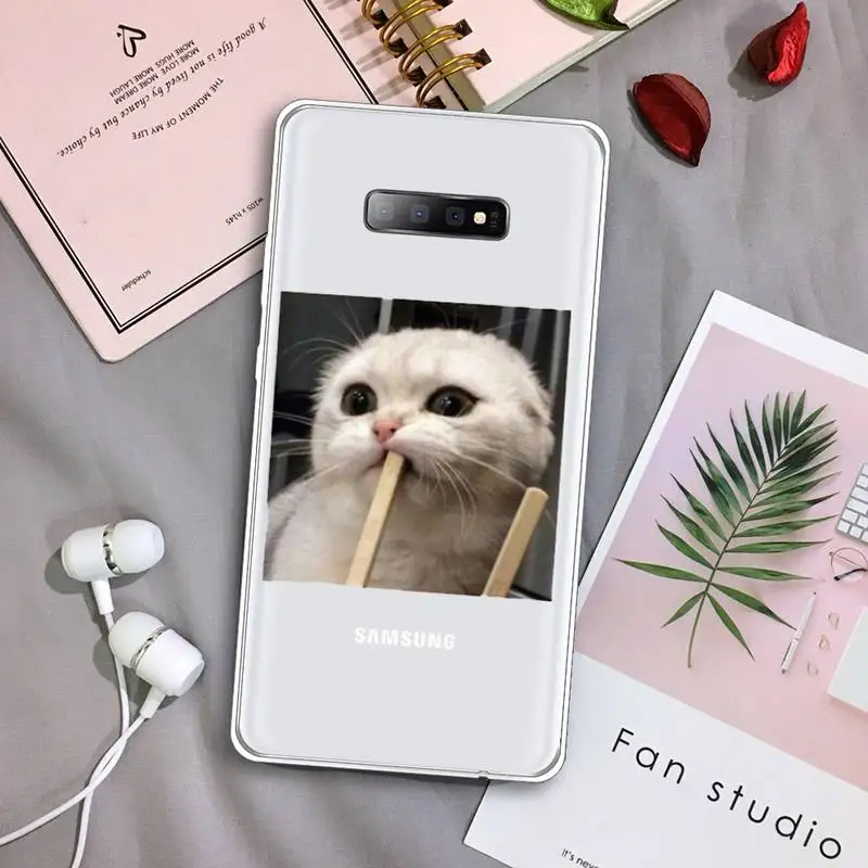 

Cute animal cat art design Phone Case Transparent For Samsung Galaxy S A 5 7 8 9 2015 20 edge plus 10 e lite 2019
