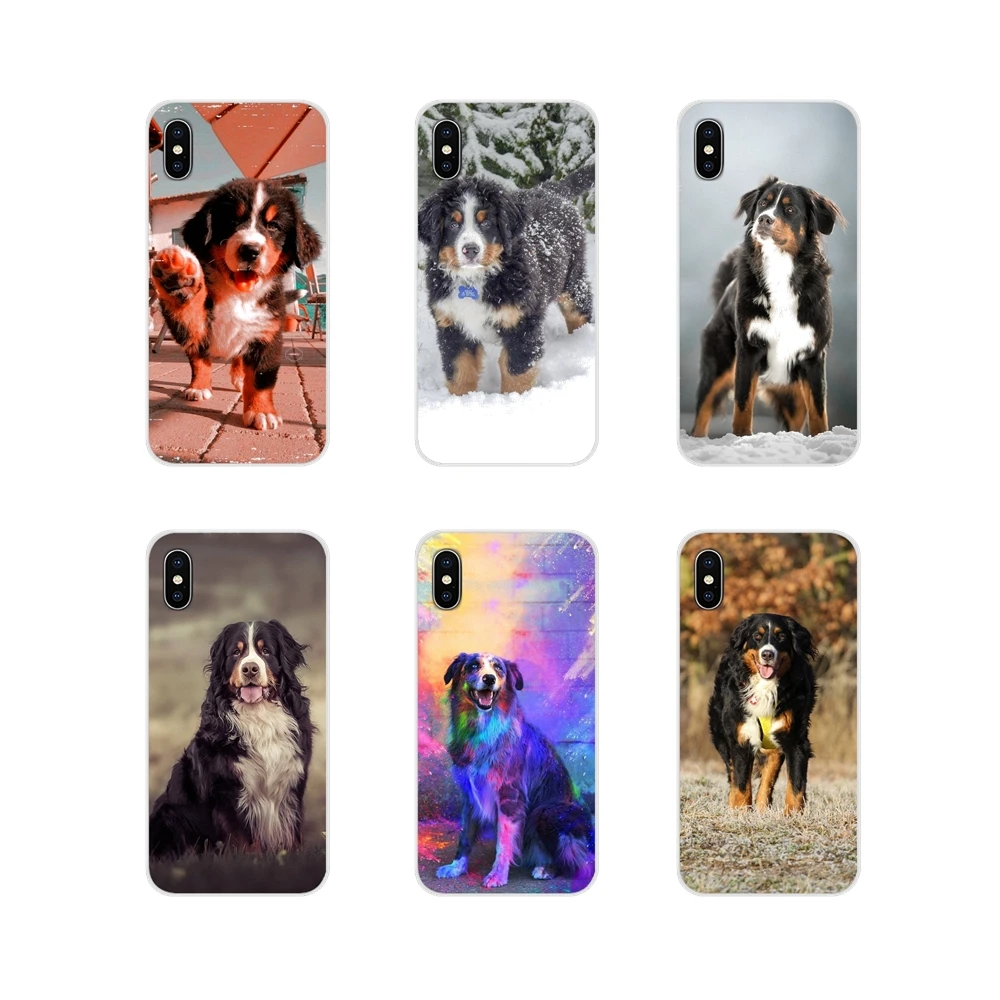 Прозрачный ТПУ чехол животное Бернская горная собака для Apple iPhone X XR XS 11Pro MAX 4S 5S 5C SE