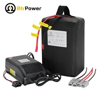 48v 20a lifepo4 battery pack special battery for electric bike with 5a charger 50a bms high temperature resistance