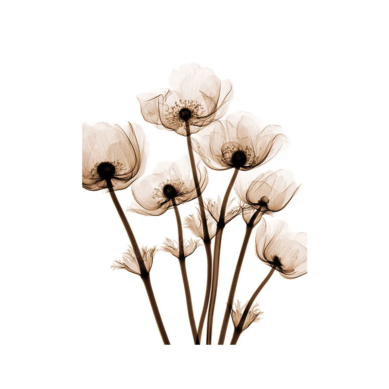 

Contracted Adornment Picture Nordic Simple Transparent Flower Decorative Spray Painting Decor Living Room Wall Art On Canvas
