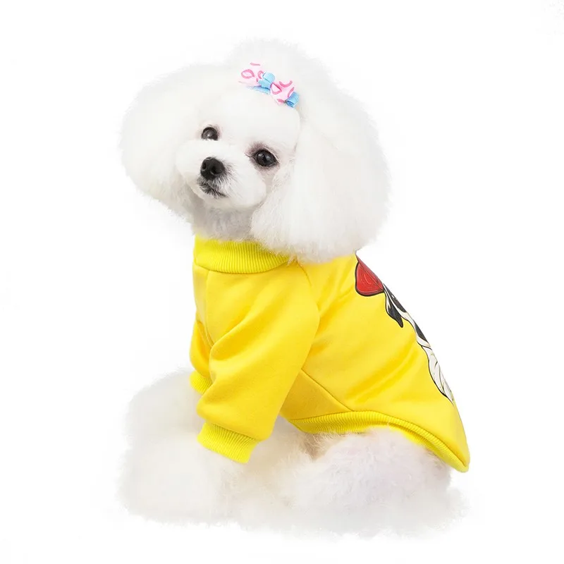 Зимняя одежда для собак, одежда для собак с мультяшным принтом, пальто для маленьких собак, чихуахуа, французский бульдог, одежда Teddy, одежда для домашних животных