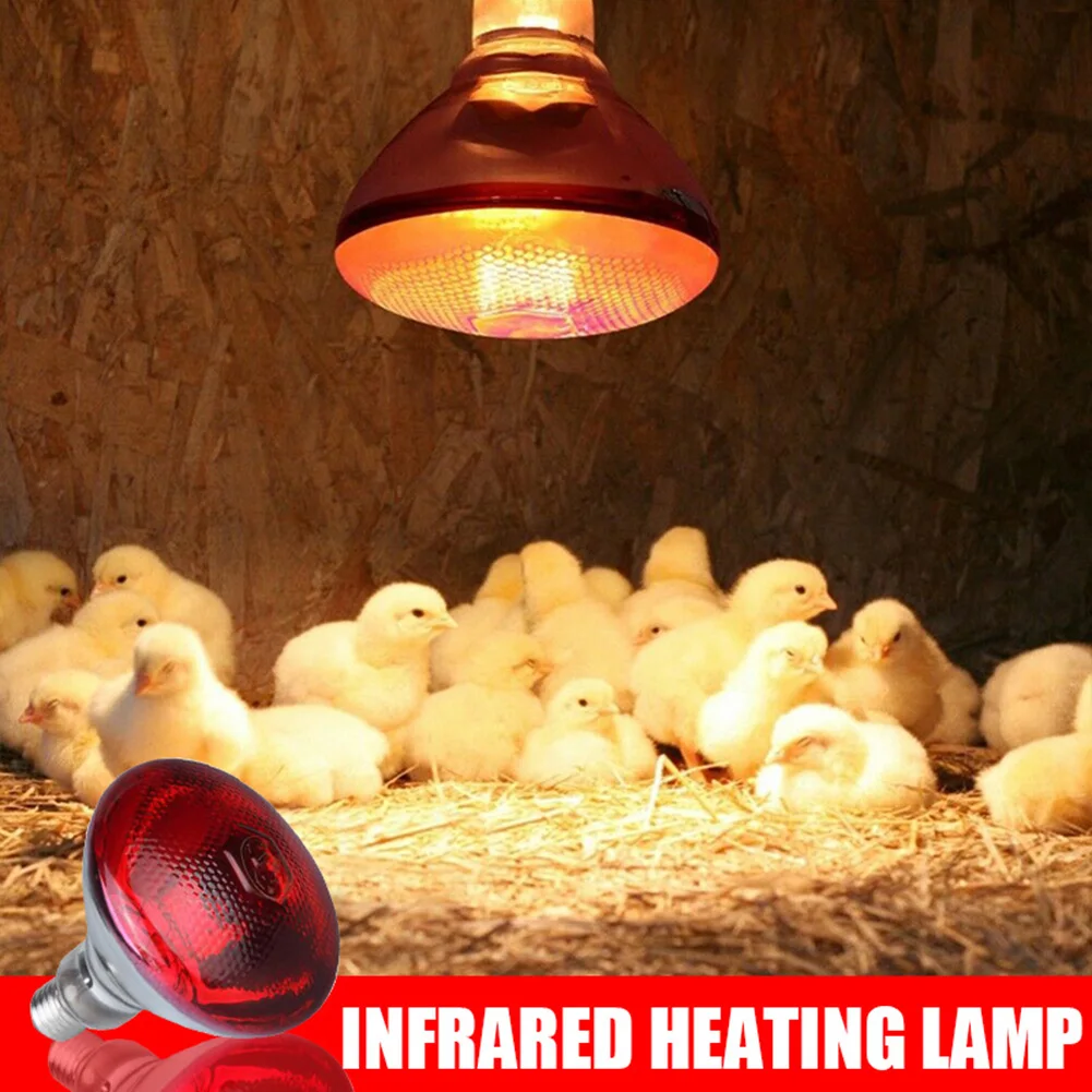 250w Infrared Heat Lamp Waterproof Anti-Explosion Thickened Light Bulbs for Piglet Chicken Duck Birds Pjop