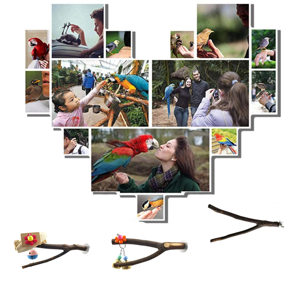 Аксессуары для хранения домашних животных попугай дерево ветка коготь