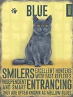 Русский синий кот Кот котенок металлическая деталь другие породы перечислены 820 винтажный знак