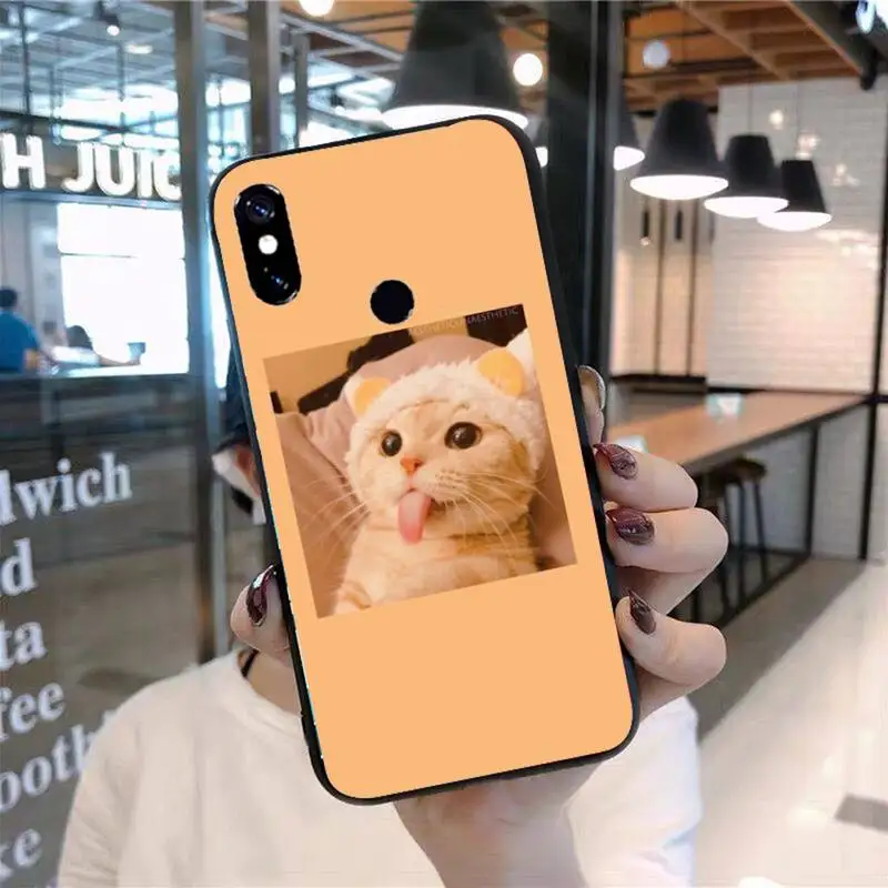 

Cat animal Phone Case For Xiaomi Redmi 7 8 9t 9se k20 mi8 max3 lite 9 note 9s 10 pro