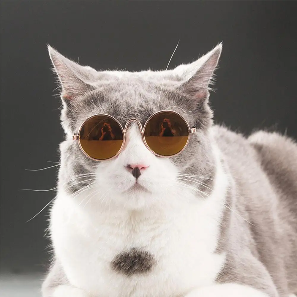 Модные крутые очки для кошек Защитные солнцезащитные собак щенков котят