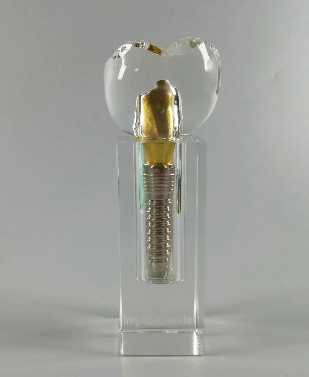 1 шт. стоматологическая обучающая модель имплантата| |