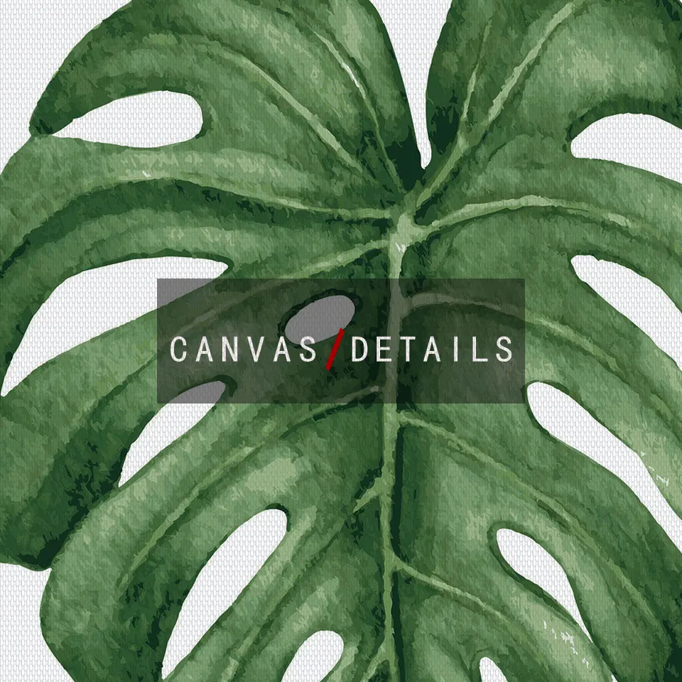 Монстера восхитительный скандинавский постер Palmaceae Картина на холсте лист
