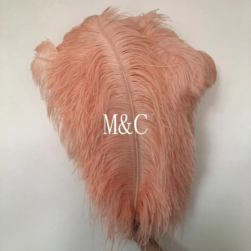 

10 pieces of high quality Champagne Pink Dyed Big Pole ostrich feathers 55-60 cm custom DIY decoration wedding party hotel vase