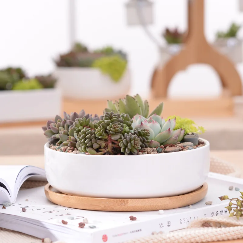 

1 Set Minimalist Ceramic Succulent Plant Pot White Porcelain Deep Rounded Flower Pot Office Desktop Bonsai Home Decor